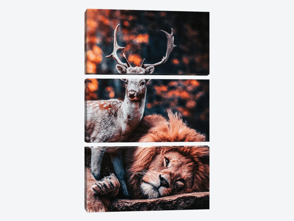 The Lion Is The Friend Of The Deer by Adrian Vieriu 3-piece Canvas Art