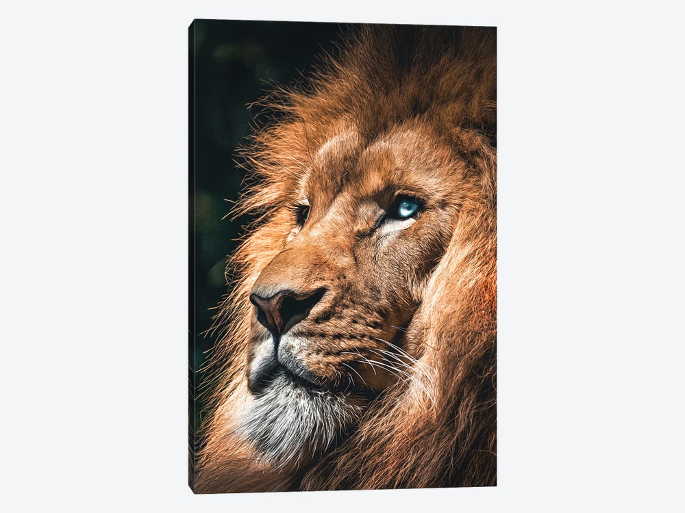 Lion Face, Head Animal by Adrian Vieriu 1-piece Art Print