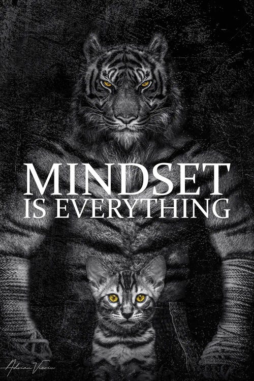 Mindset Is Everything , Tiger Fighter , Motivational Text