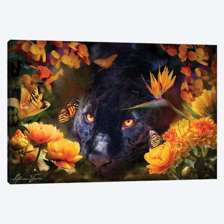 Panther In Flowers Canvas Print #AVU150} by Adrian Vieriu Canvas Print