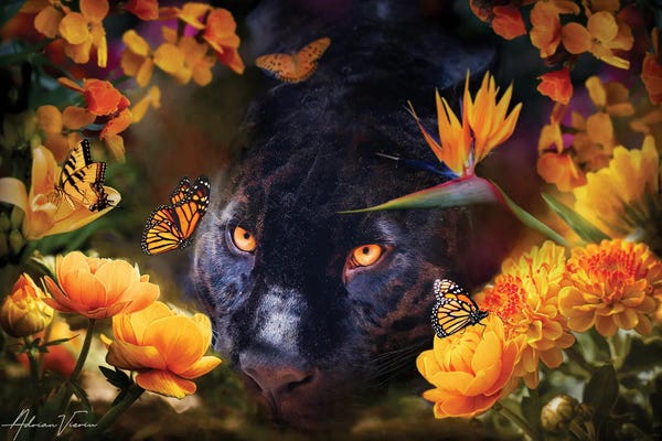 Panthers: Panther In Flowers by Adrian Vieriu