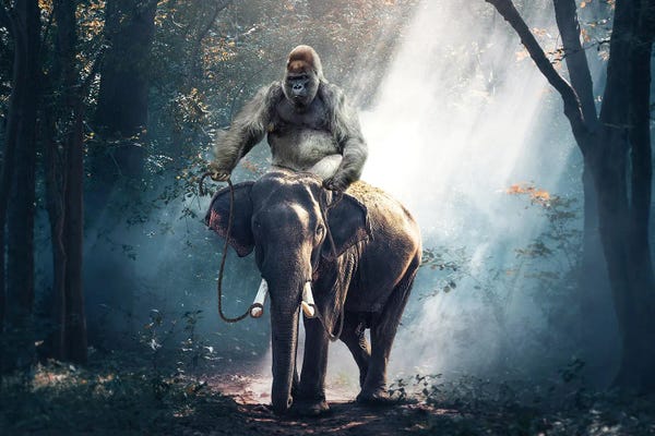 Gorillas: Planet Of The Apes by Adrian Vieriu