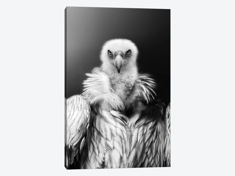 Eagle King by Adrian Vieriu 1-piece Art Print