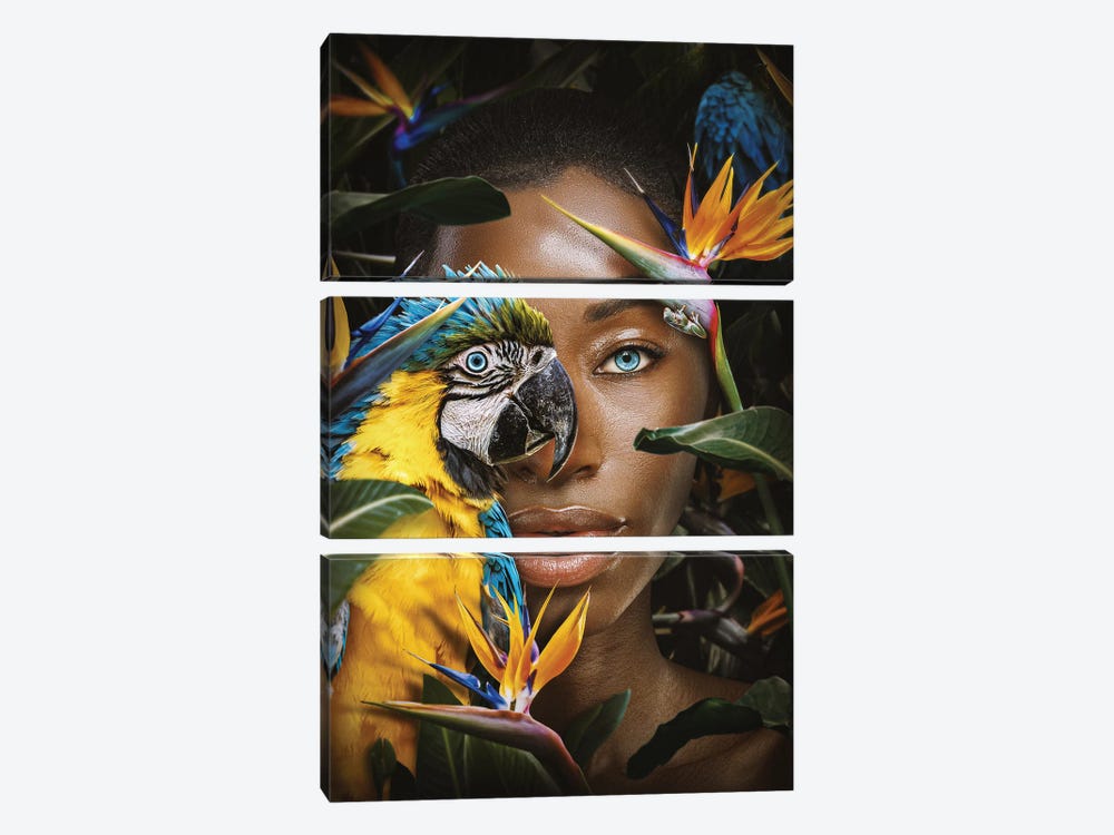 Woman Among Flowers With Parrot by Adrian Vieriu 3-piece Canvas Art