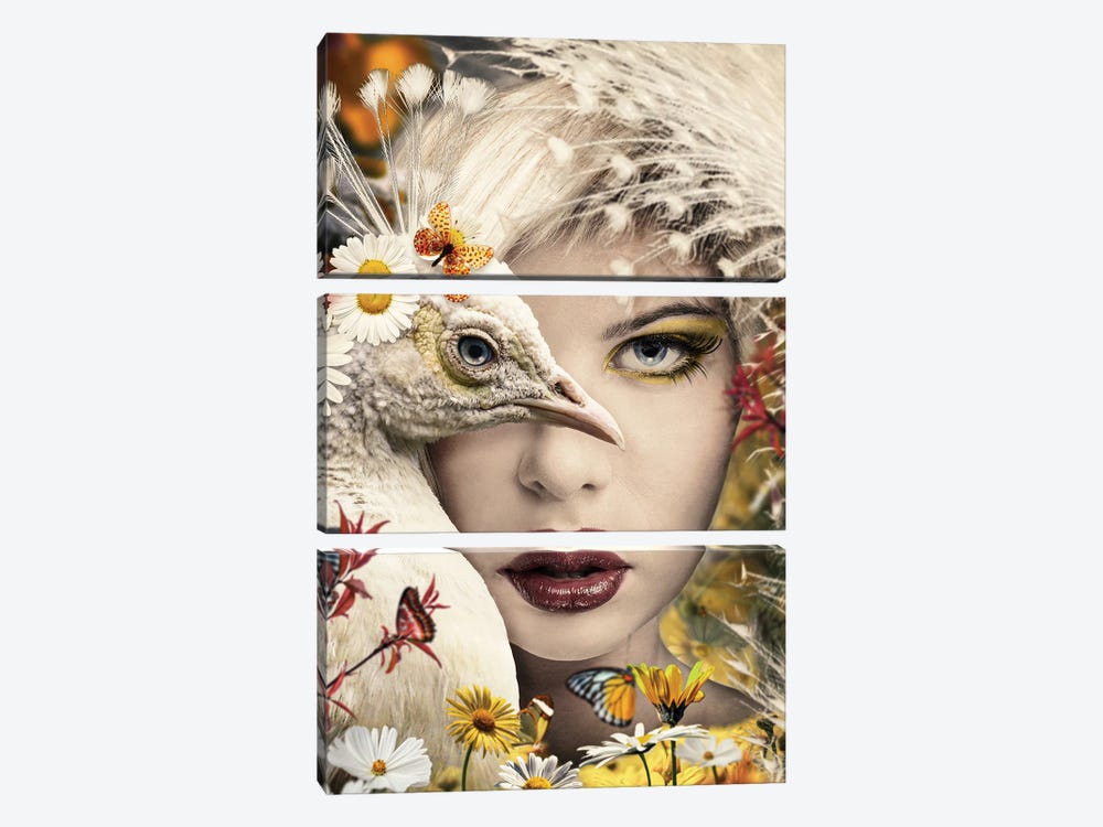 The Peacock Woman by Adrian Vieriu 3-piece Canvas Print