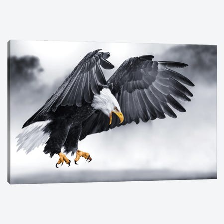 Eagle On The Hunt Canvas Print #AVU170} by Adrian Vieriu Canvas Print
