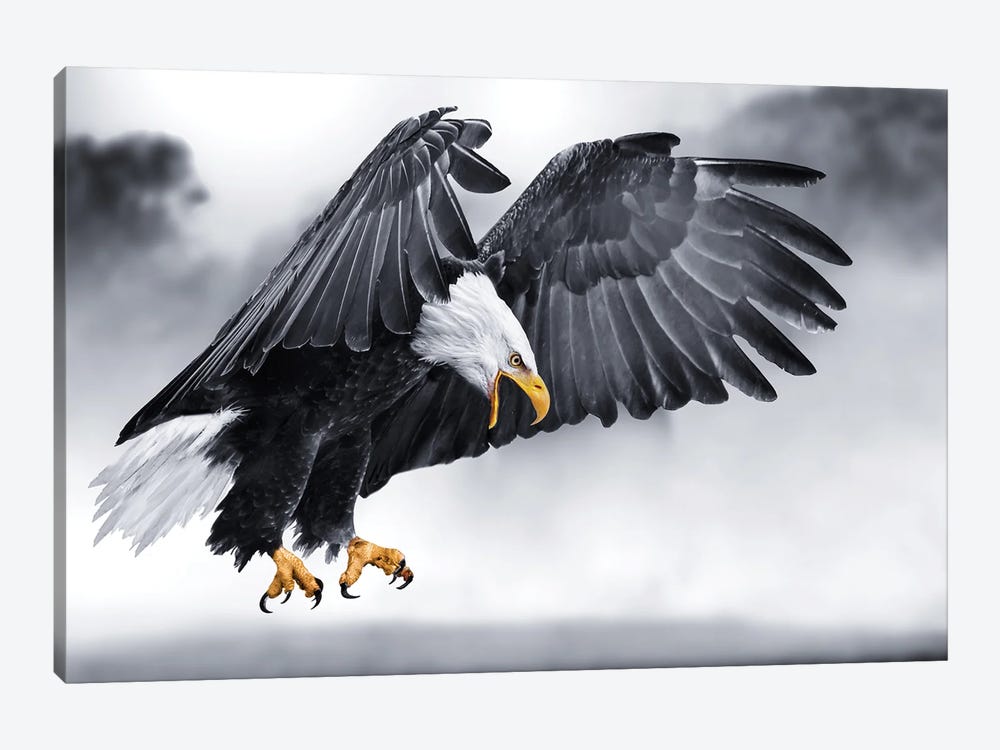 Eagle On The Hunt by Adrian Vieriu 1-piece Canvas Art Print