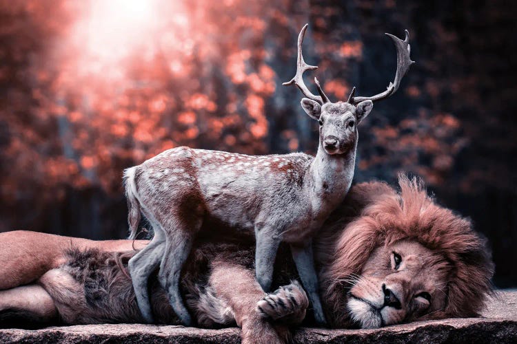 The Lion And The Deer Became Friends