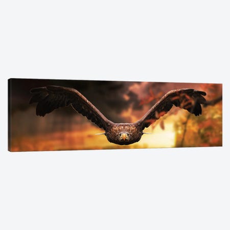 The Eagle In Flight At Sunset Canvas Print #AVU172} by Adrian Vieriu Canvas Art Print