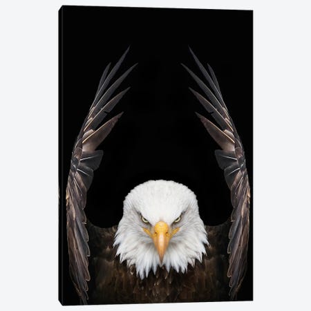 Eagle King Bird Canvas Print #AVU175} by Adrian Vieriu Canvas Art