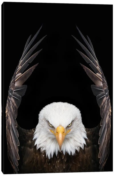 Eagle King Bird Canvas Art Print - Adrian Vieriu