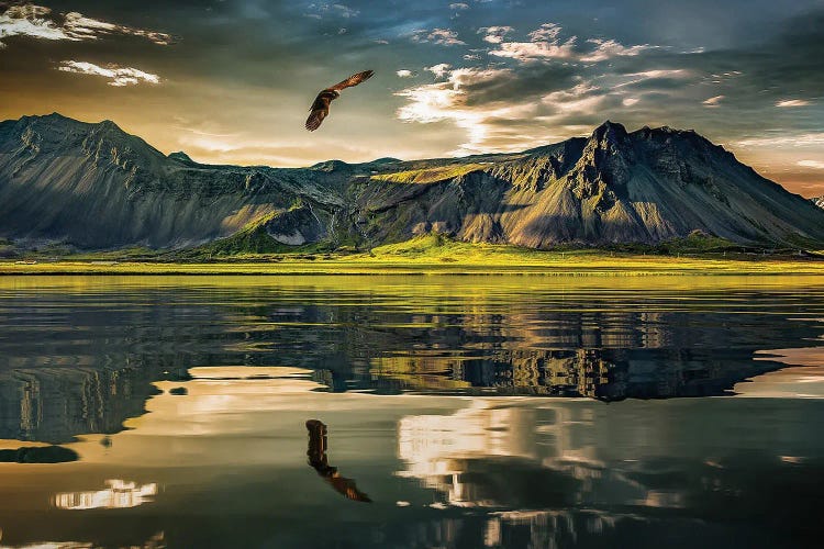 Eagle In Nature And The Reflection Of The Mountains In The Lake