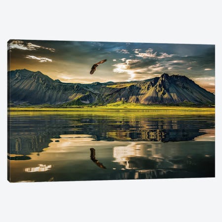 Eagle In Nature And The Reflection Of The Mountains In The Lake Canvas Print #AVU176} by Adrian Vieriu Canvas Wall Art