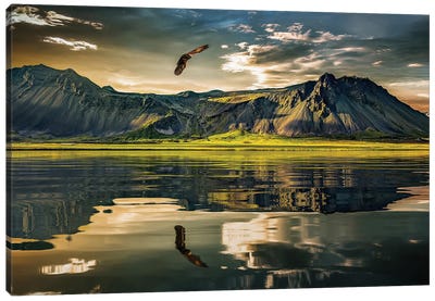 Eagle In Nature And The Reflection Of The Mountains In The Lake Canvas Art Print - Adrian Vieriu