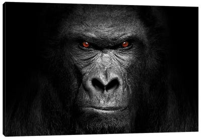 Gorilla Portrait Canvas Art Print - Primate Art