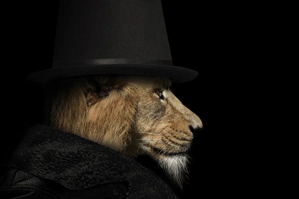 Lion Man Profile