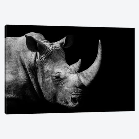 African Rhino Black & White Canvas Print #AVU18} by Adrian Vieriu Canvas Artwork