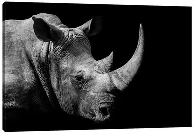 African Rhino Black & White Canvas Art Print - Rhinoceros Art