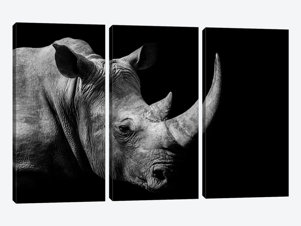 African Rhino Black & White by Adrian Vieriu 3-piece Canvas Art