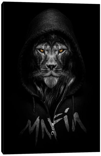 Lion Wearing A Hooded Sweatshirt Written Mafia Canvas Art Print - Adrian Vieriu