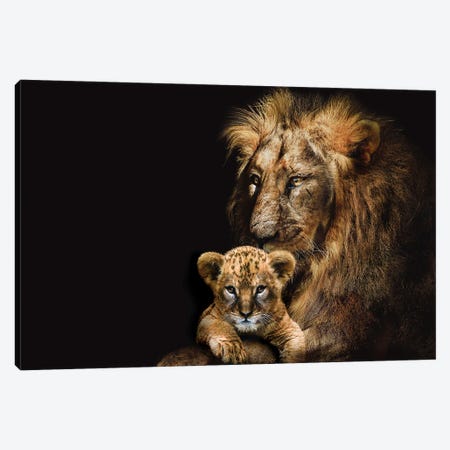 Lion Adult And Cub Canvas Print #AVU1} by Adrian Vieriu Canvas Artwork