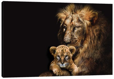 Lion Adult And Cub Canvas Art Print - Adrian Vieriu