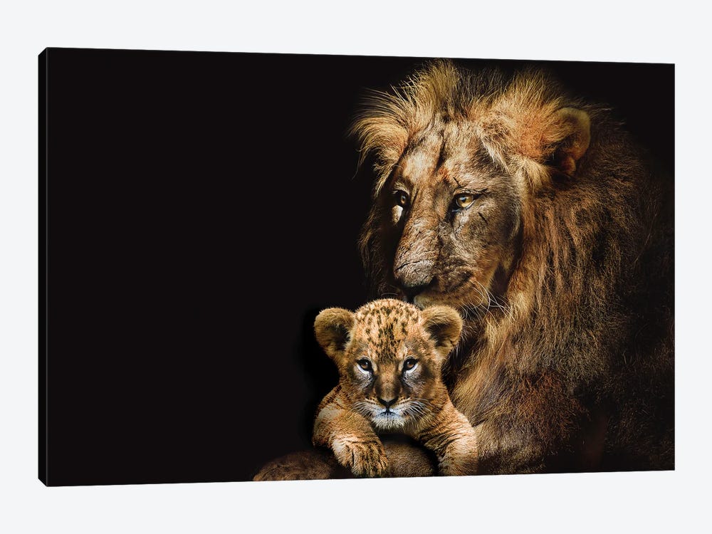 Lion Adult And Cub by Adrian Vieriu 1-piece Canvas Wall Art