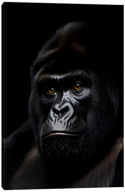 Gorilla Portrait Face Isolated In Black Background VIII Canvas Art Print - Gorilla Art