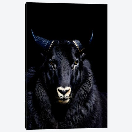A Ram With Large Horns Isolated Black Background II Canvas Print #AVU237} by Adrian Vieriu Canvas Art Print