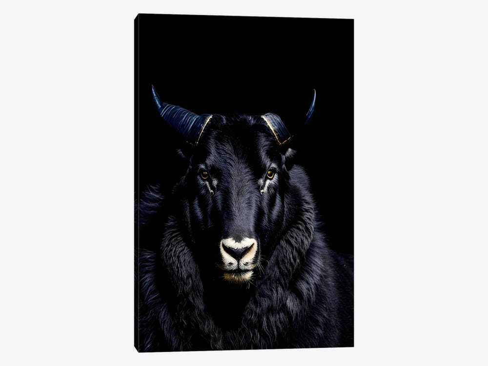 A Ram With Large Horns Isolated Black Background II by Adrian Vieriu 1-piece Canvas Wall Art
