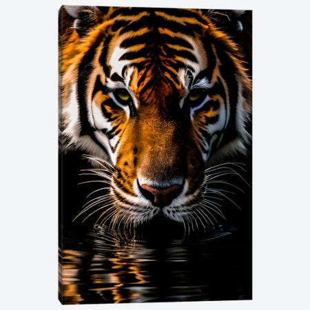 Tiger Face Portrait Drinking Water From The Lake , Animal Canvas Print #AVU239} by Adrian Vieriu Canvas Wall Art