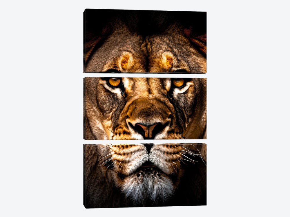 Lion Portrait Isolated Face, Animal II by Adrian Vieriu 3-piece Canvas Art Print
