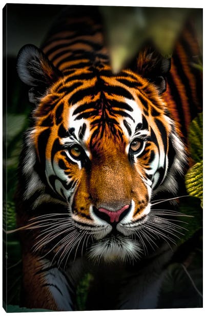 Portrait Face Tiger Among The Leaves, Animal In The Jungle Canvas Art Print - Adrian Vieriu