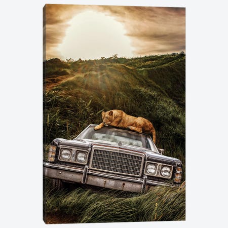 Lioness And Old Ford In The Jungle Canvas Print #AVU2} by Adrian Vieriu Canvas Wall Art