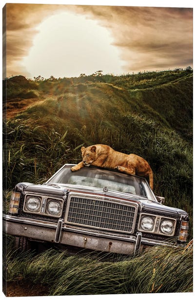 Lioness And Old Ford In The Jungle Canvas Art Print - Adrian Vieriu