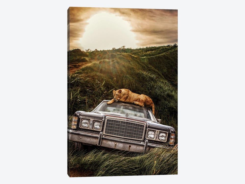 Lioness And Old Ford In The Jungle by Adrian Vieriu 1-piece Canvas Print