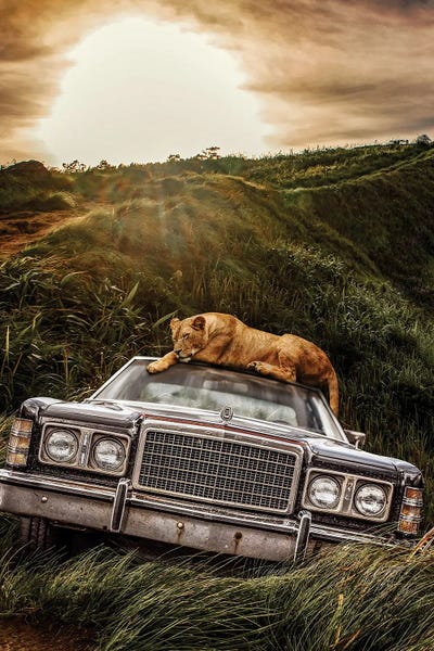 Ford: Lioness And Old Ford In The Jungle by Adrian Vieriu