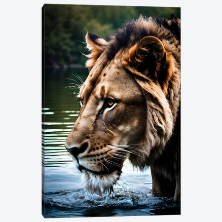 Portrait Of A Lion In The Water Canvas Print #AVU333} by Adrian Vieriu Art Print