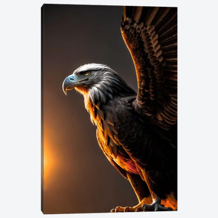 Eagle With Open Wings In The Sunset Canvas Print #AVU357} by Adrian Vieriu Canvas Art
