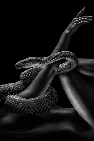 Fashion Woman With Snake, Creation Of Adam by Adrian Vieriu art print
