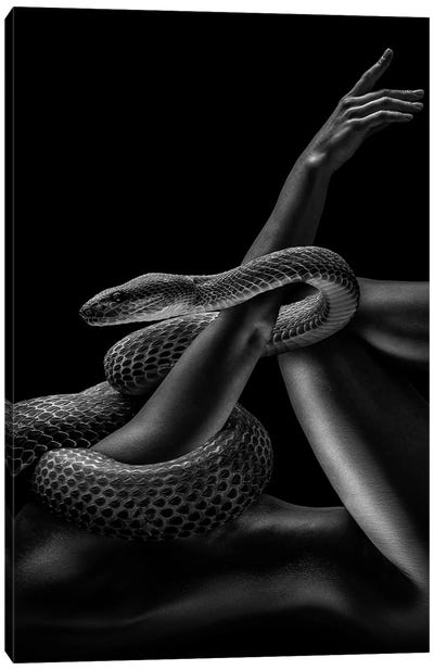 Fashion Woman With Snake, Creation Of Adam Canvas Art Print - Snake Art