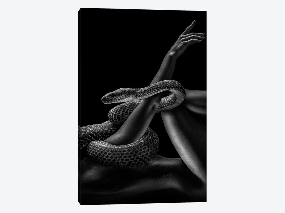 Fashion Woman With Snake, Creation Of Adam by Adrian Vieriu 1-piece Art Print
