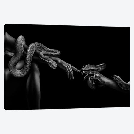 Fashion Woman With Snake, Creation Of Adam Black And White Canvas Print #AVU400} by Adrian Vieriu Canvas Art Print