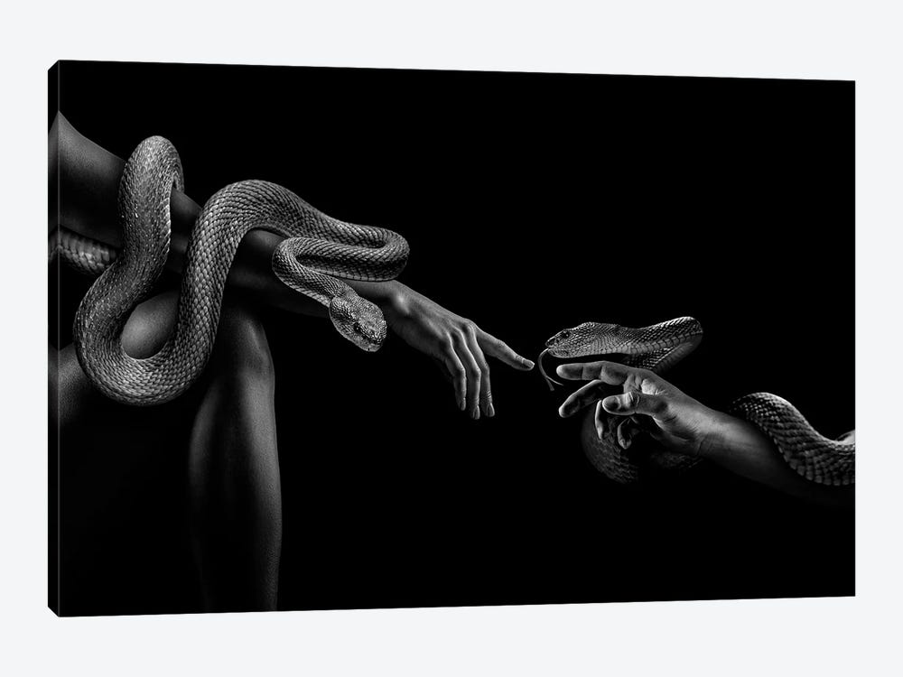 Fashion Woman With Snake, Creation Of Adam Black And White by Adrian Vieriu 1-piece Canvas Artwork
