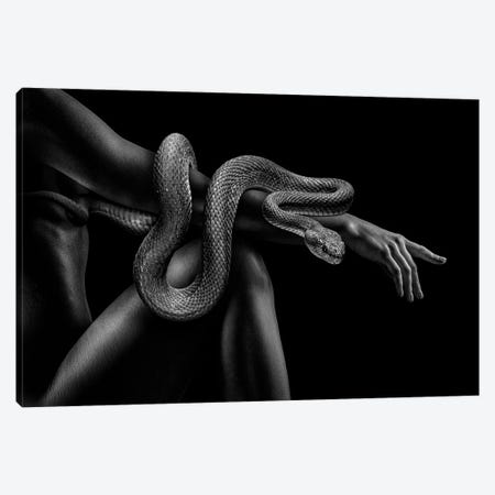 Fashion Woman With Snake, Black And White Creation Of Adam Canvas Print #AVU401} by Adrian Vieriu Art Print