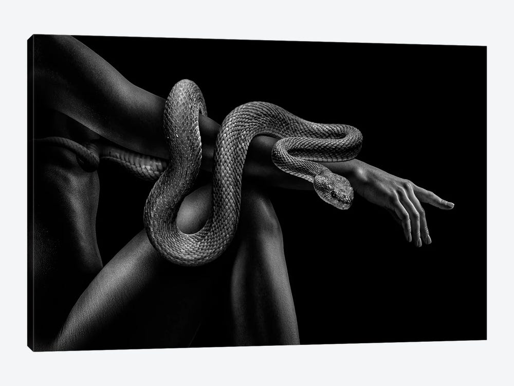 Fashion Woman With Snake, Black And White Creation Of Adam by Adrian Vieriu 1-piece Canvas Art Print