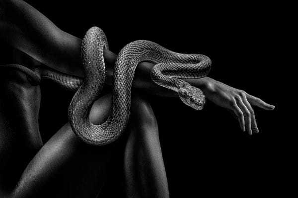 Creation Of Adam: Fashion Woman With Snake, Black And White Creation Of Adam by Adrian Vieriu