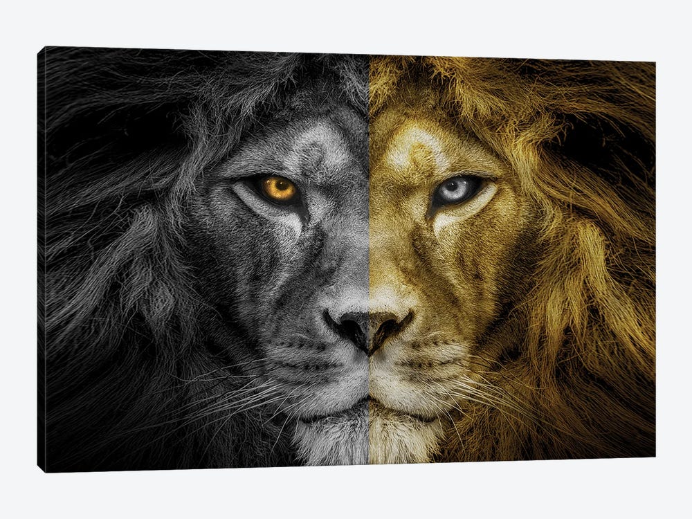 Lion Split Black And White Face by Adrian Vieriu 1-piece Canvas Art