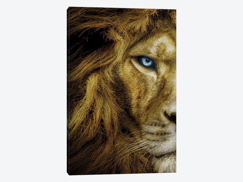 Lion With Blue Eyes Half Face by Adrian Vieriu 1-piece Art Print