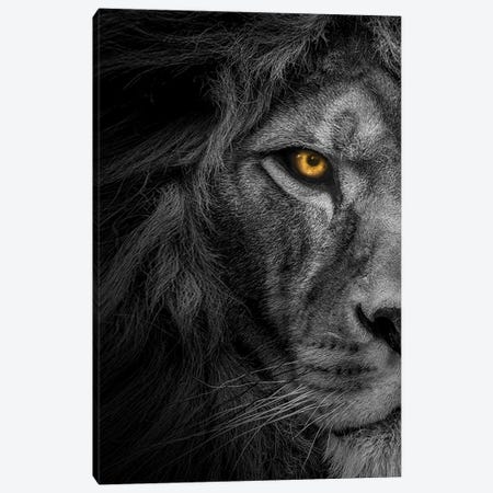 Lion Black And White With Color Eyes Half Face Canvas Print #AVU47} by Adrian Vieriu Canvas Artwork